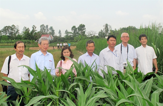 Nhật Bản hỗ trợ phát triển nông nghiệp Việt Nam